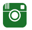icon_instagram-large-green